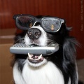 IMG2012-07-18 013 Button-Brille-Telefon 1024x