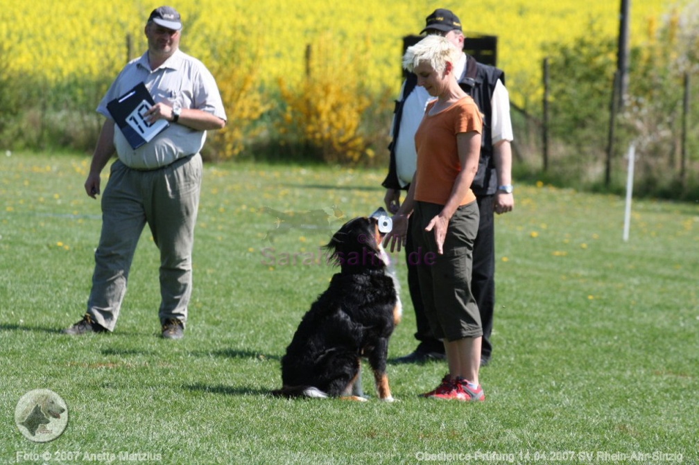 IMG2007-04-14 017