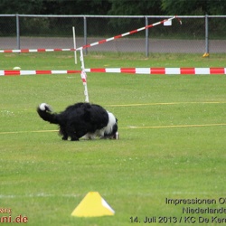 NL-DE-Obedience-Cup-2013