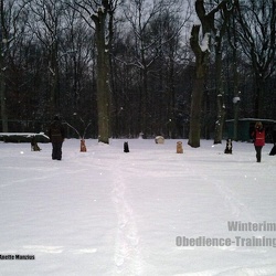 Obedience im Schnee