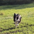 IMG2015-10-27 092